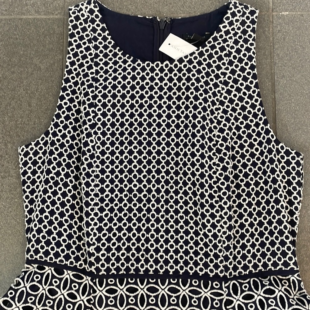 Ann Taylor Beautiful Eyelet Dress NWT